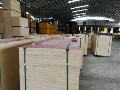 廣西桉木建筑模板廠家直銷